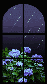 blue flowers rainy window