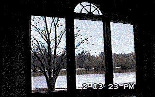 seasons changing window