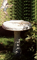 fairies in a birdbath
