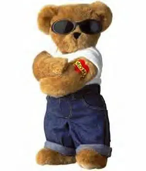 cool bear